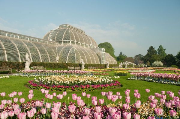 Royal-Botanic-Kew-Gardens-Palm-House