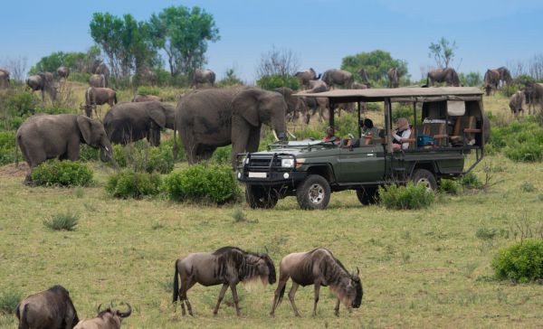 Masai-Mara-Safari