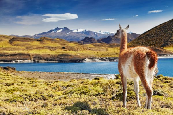 Torres-del-Paine-NP