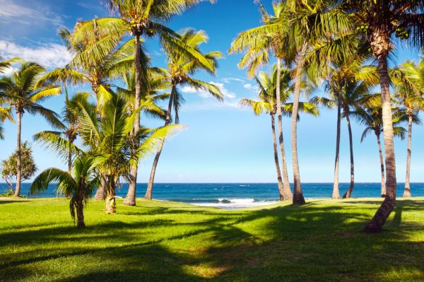 La-Réunion-Grande-Anse