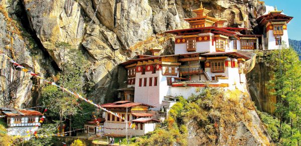Tiger-Nest