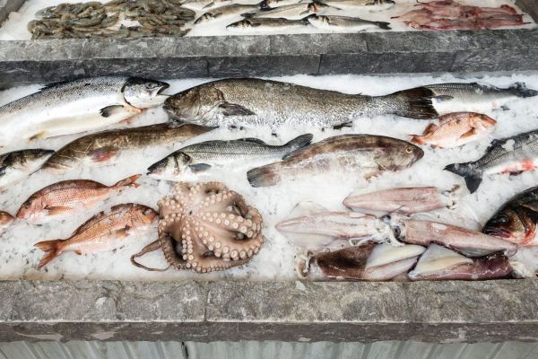 Mondiano-Markt-Fisch-