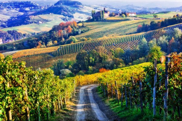 Piemont-Landschaft