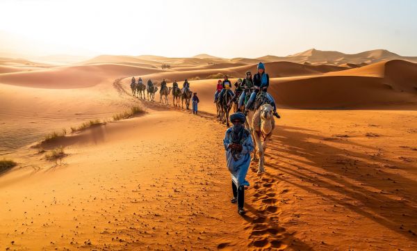 Sahara-Kamelritt
