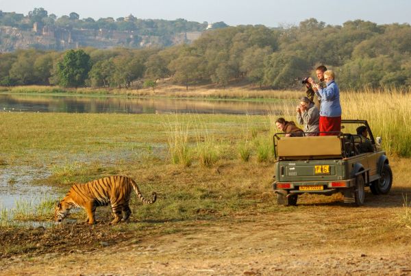 Ranthambore_Nationalpark