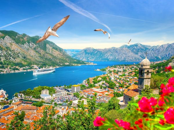 Kotor-