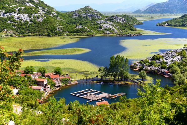 Skutarisee