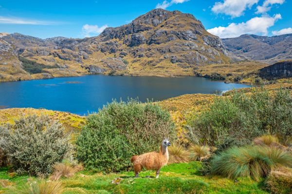 Ecuador-Cajas-Natioanlapark