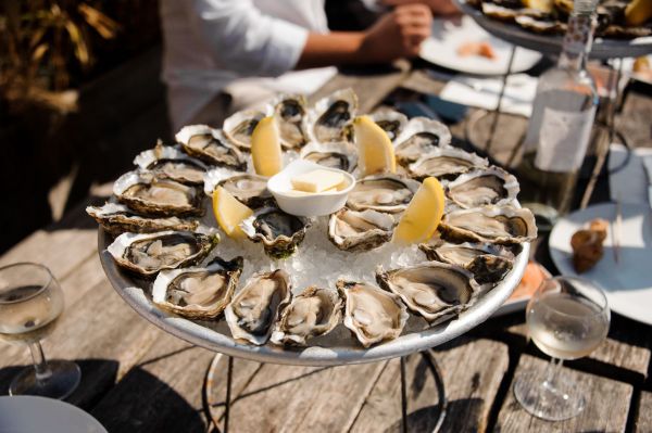 Arcachon-Austern
