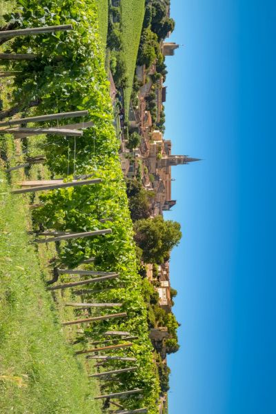 Saint-Emilion-
