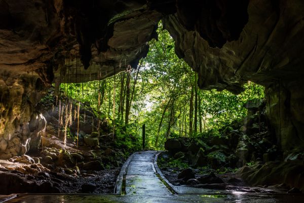 Borneo-Mulu-Nationalpark