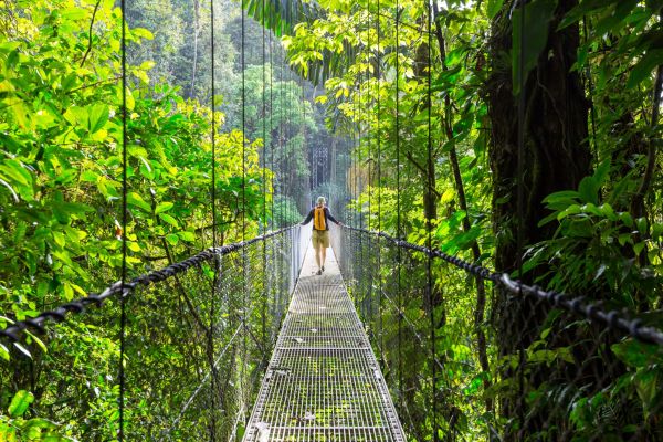 Mistico-Arenal-Hängebrücken©shutterstock