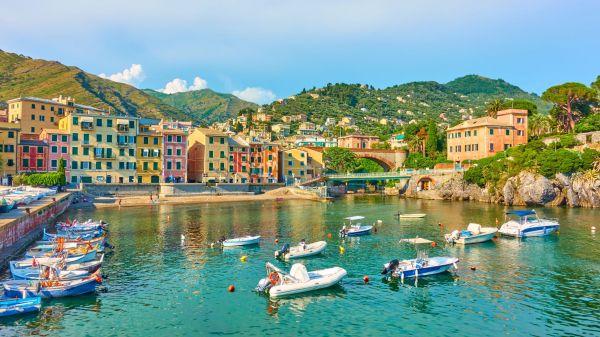 Nervi©shutterstock