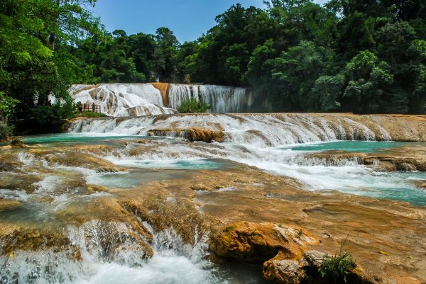 Mexiko-Agua_Azul_Wasserfälle-iStock