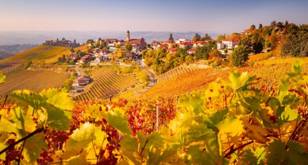 Piemont©shutterstock