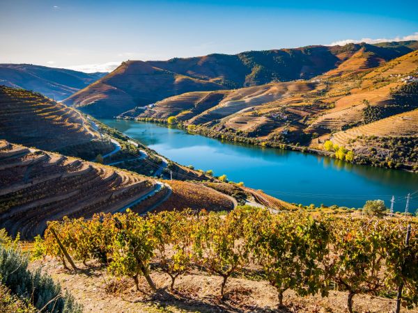 Douro-Tal©shutterstock