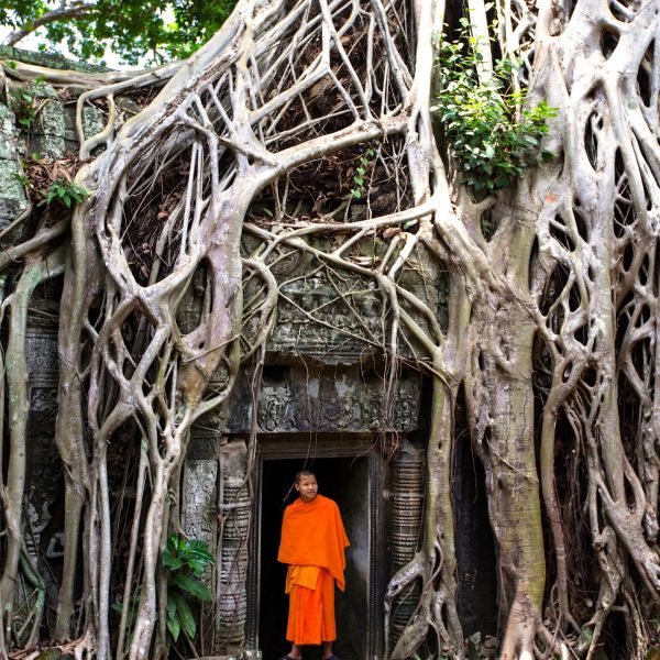 Kambodscha-Siem-Reap-Ta-Prohm©Easia-Travel