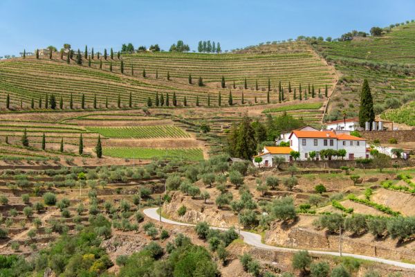 QuintaDouro-Tal©iStock