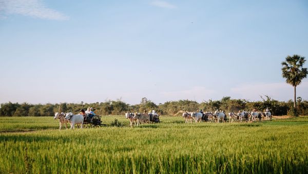 Heritage-Line-Siem-Reap-Tonle-Sap