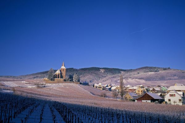 ElsässerWeinstraße©shutterstock