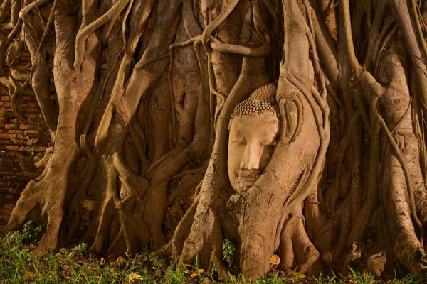 Thailand_Ayutthaya_Wat_Mahathat_shutterstock_2543586635