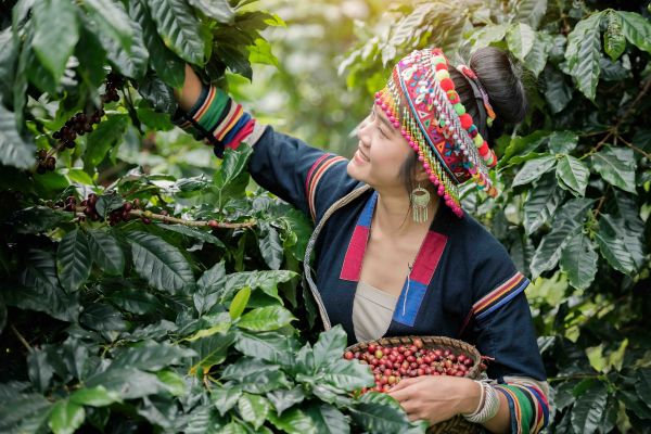 Nordthailand_Akha_shutterstock_795820954