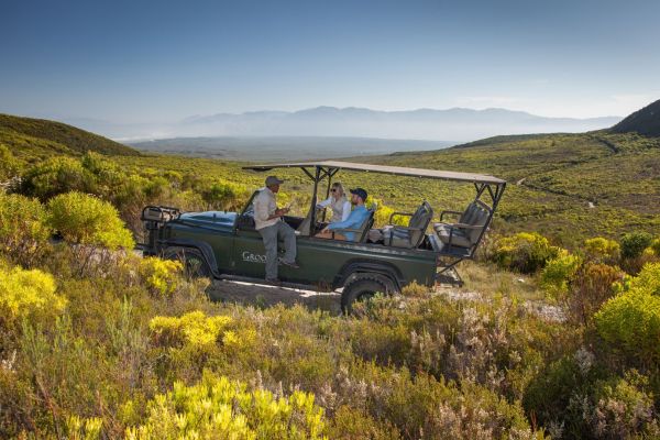 Grootbos_Nature_Reserve_Experience_Flower_Safari