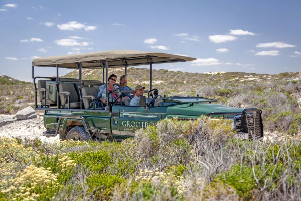 Grootbos_Nature_Reserve_coastal_safari_