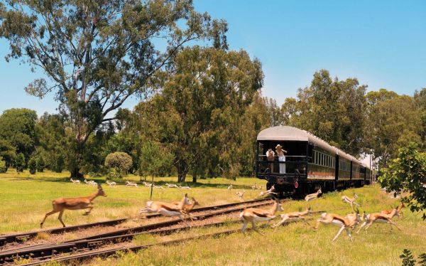 Rovos_Rail