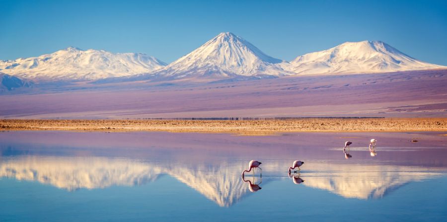 Chile-Anden