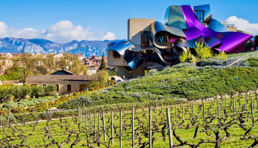 Rioja-Marques-de-Riscal©dreamstime