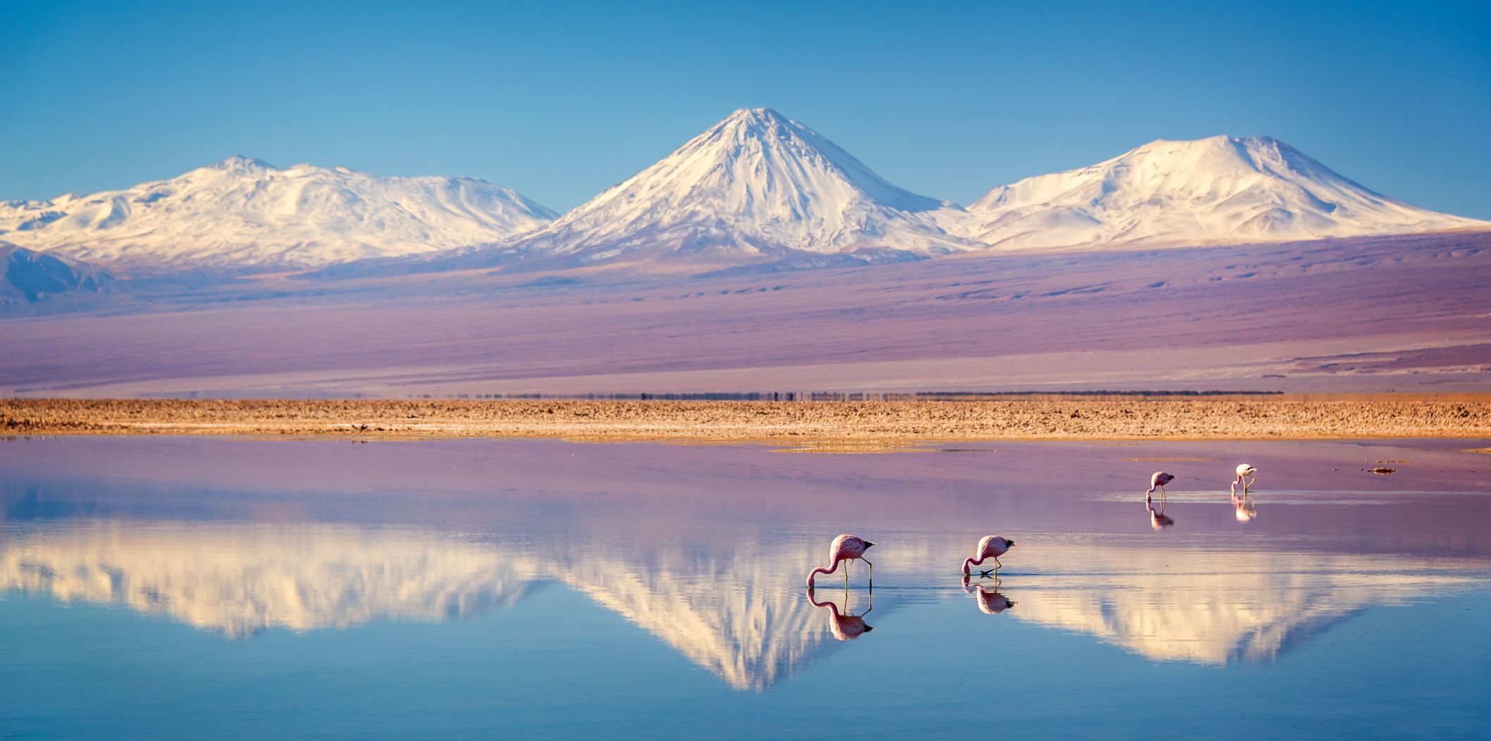  Chile-Anden.jpg 