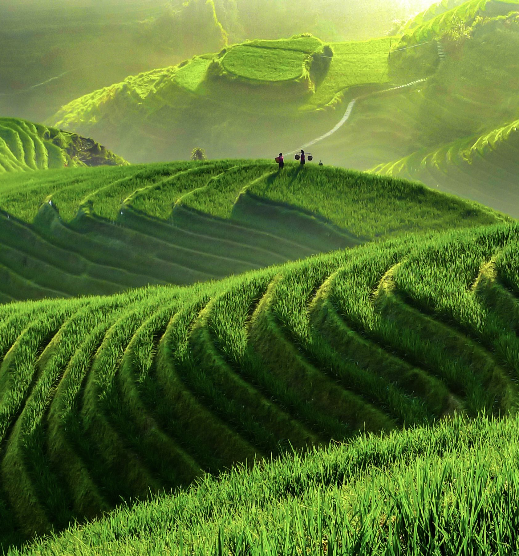  China_Longsheng-Reisterrassen_iStock-1030832852.jpg 