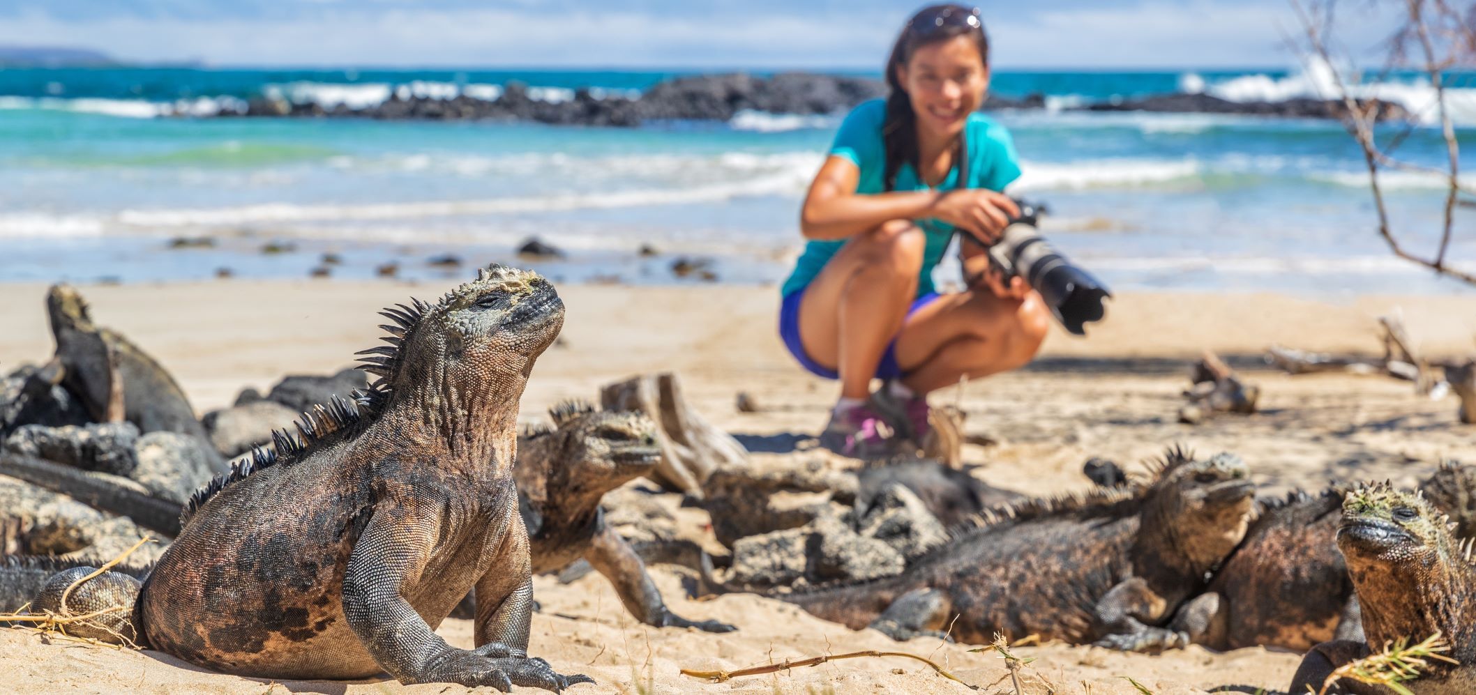  Galapagos-Inseln.jpg 