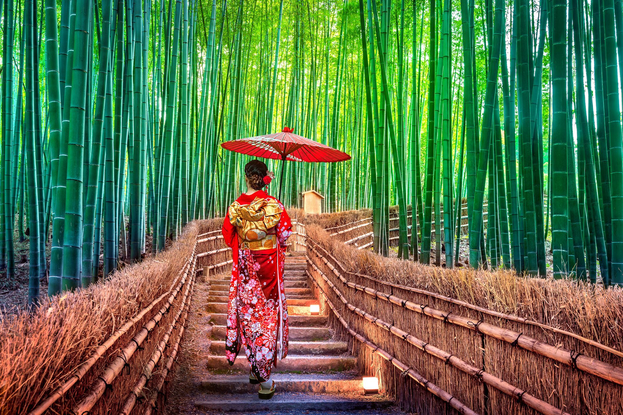  Kyoto-Arashiyama-Bambuswald.jpg 
