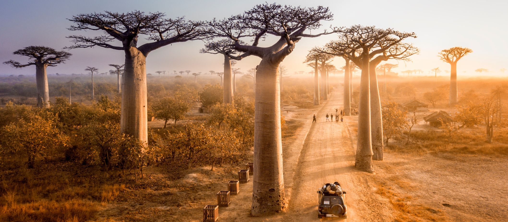  Madagaskar-Baobab-Allee.jpg 