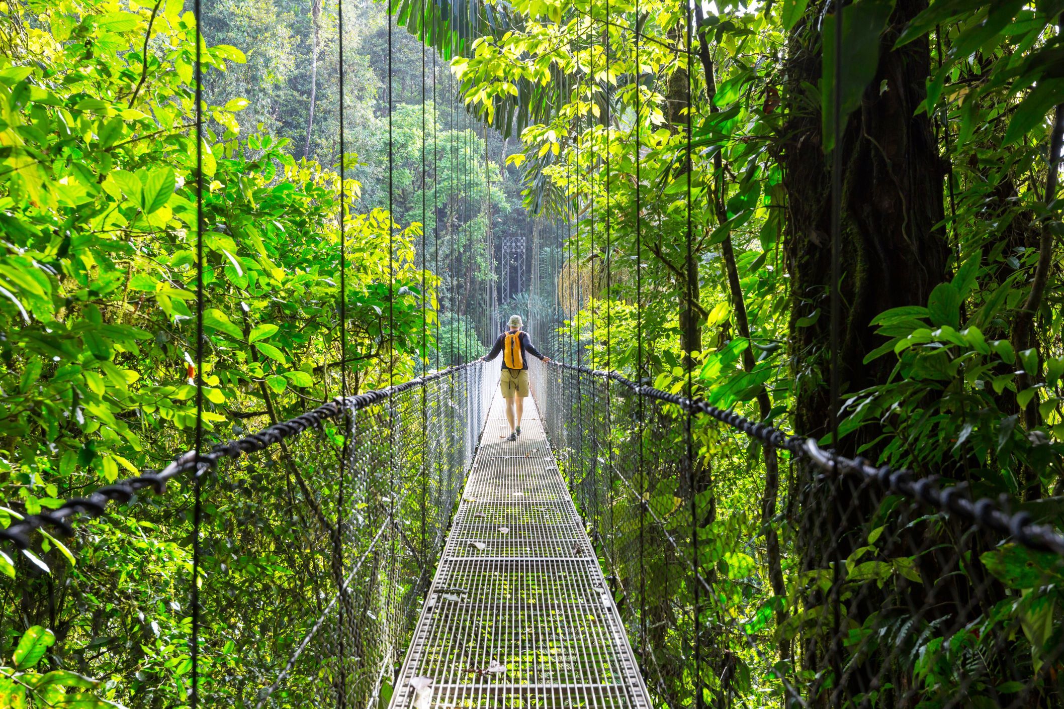  Mistico-Arenal-H__ngebr__cken__shutterstock.jpg 